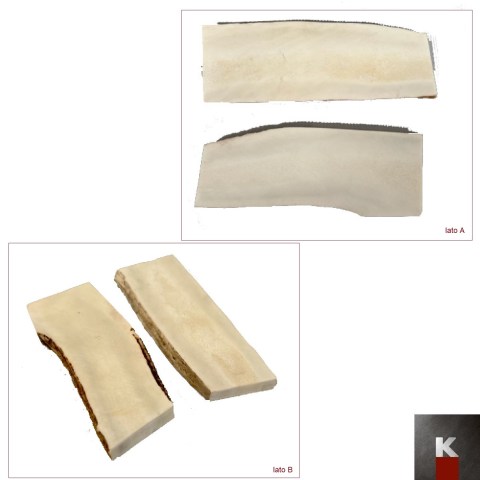 placc corno alce p u n 16 K